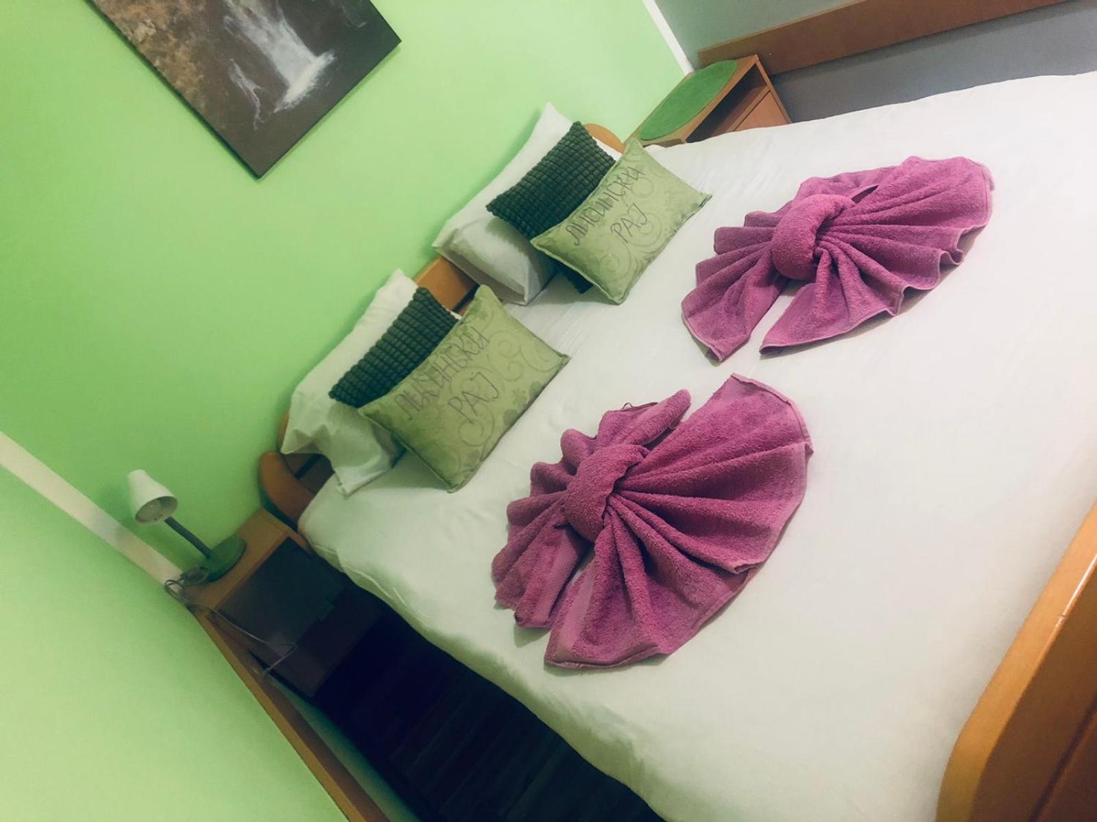 Guest House Lisinski Raj Despotovac Zimmer foto