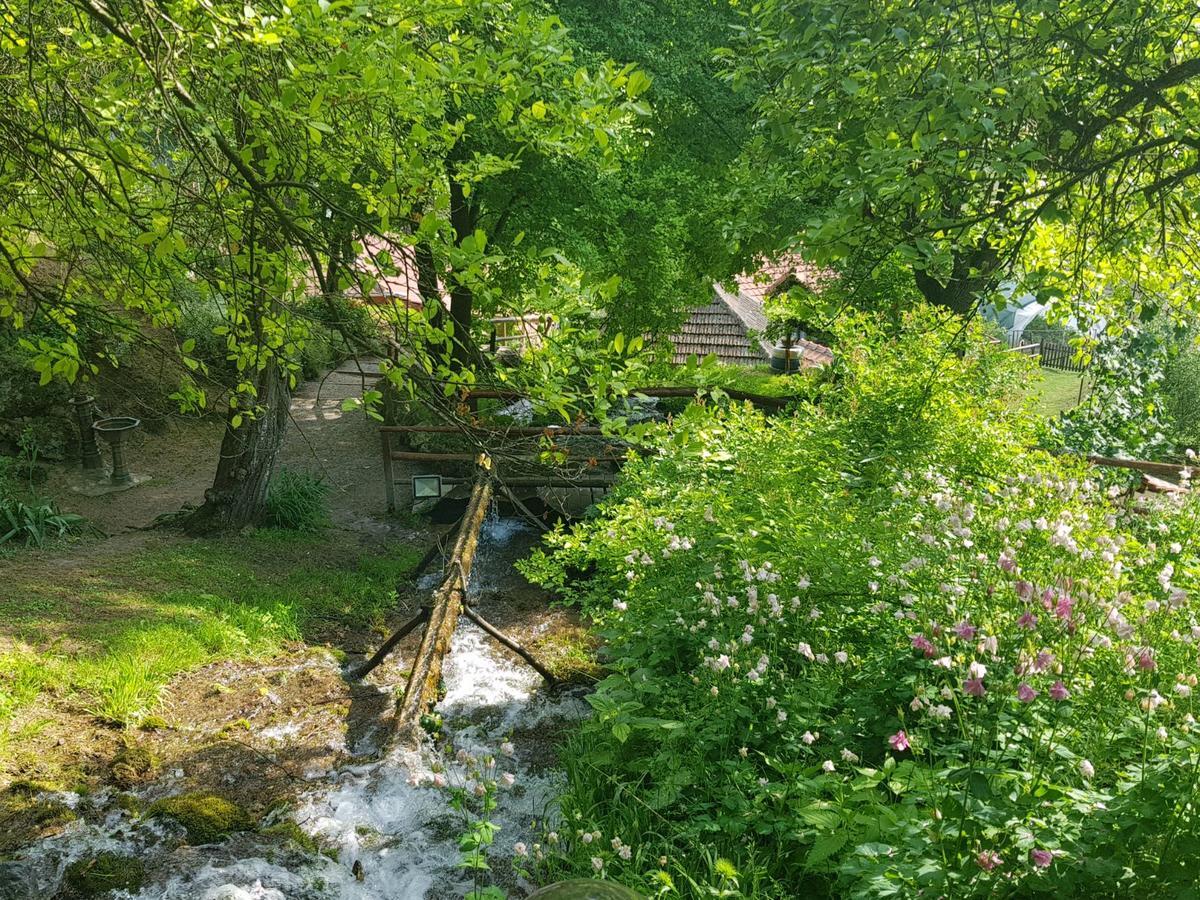Guest House Lisinski Raj Despotovac Exterior foto