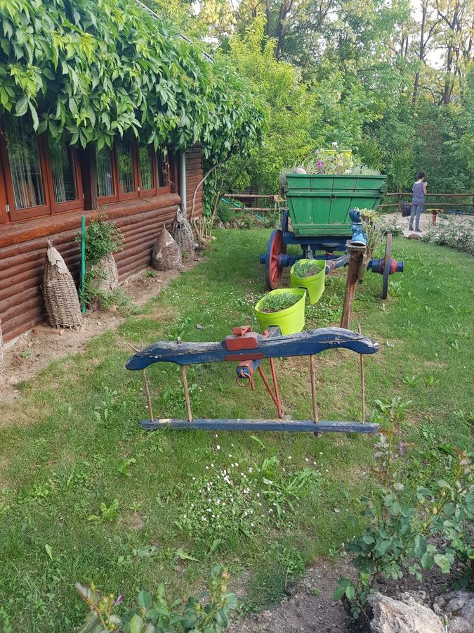 Guest House Lisinski Raj Despotovac Exterior foto